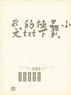 我的极品小姨全文txt下载