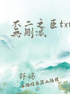 不二之臣txt无删减
