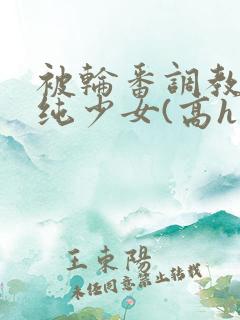 被轮番调教的清纯少女(高h