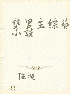 双男主综艺推文小说