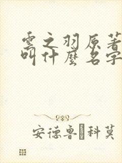 云之羽原著小说叫什么名字