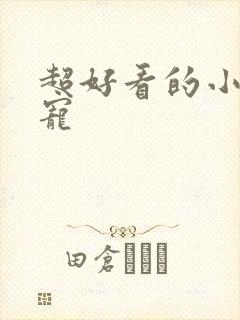 超好看的小说甜宠