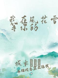 我在风花雪月里等你的