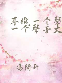 耳机一个声音小一个声音大怎么回事