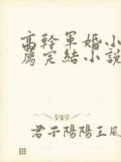 高干军婚小说推荐完结小说