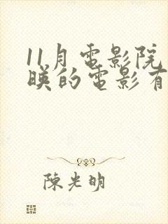 11月电影院上映的电影有哪些