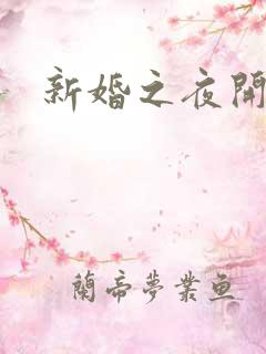 新婚之夜开
