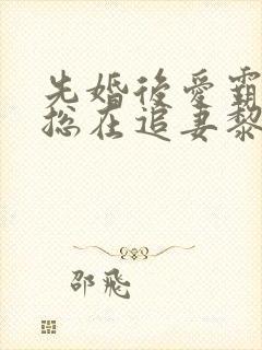 先婚后爱霸总他总在追妻黎浅全文在线阅读