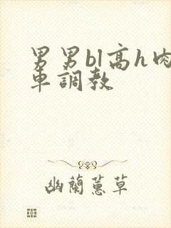 男男bl高h肉车调教