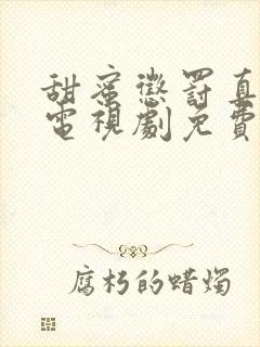 甜蜜惩罚真人版电视剧免费观看最新