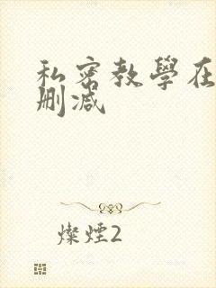 私密教学在线无删减