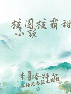 校园校霸甜宠文 小说