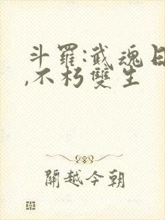 斗罗:武魂日月,不朽双生