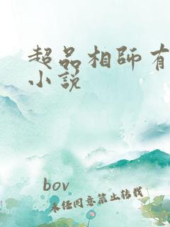 超品相师有声书小说