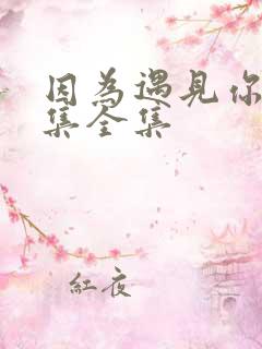 因为遇见你56集全集