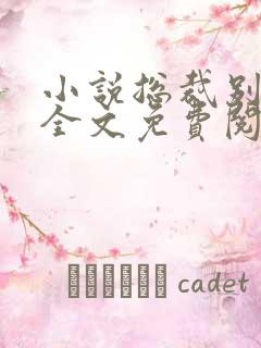 小说总裁别太坏全文免费阅读