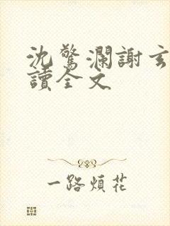 沈惊澜谢玄寂阅读全文