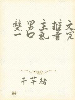 双男主推文小说一口气看完