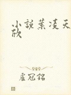 小说叶凌天李雨欣