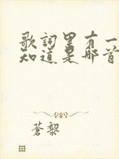 歌词里有一句不知道是哪首歌