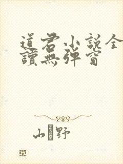 道君小说全文阅读无弹窗