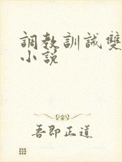 调教训诫双男主小说