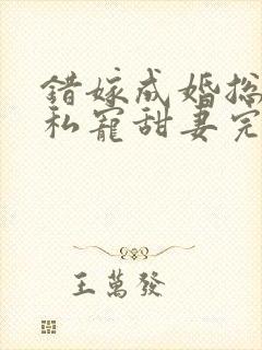 错嫁成婚总裁的私宠甜妻完整版