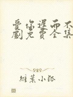 爱你迟而不晚短剧免费全集免费播放