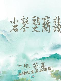 小说朝露非木非石全文阅读