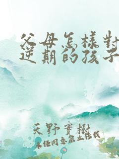 父母怎样对待叛逆期的孩子