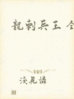 龙刺兵王 全文