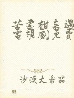 苦尽柑来遇见你电视剧免费观看国语