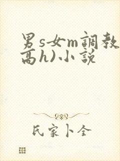男s女m调教(高h)小说