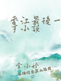 香江最后一个大亨小说