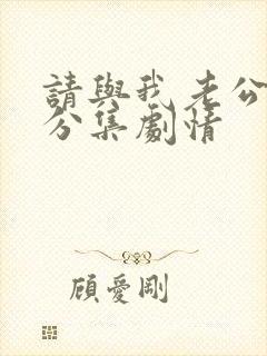 请与我老公结婚分集剧情