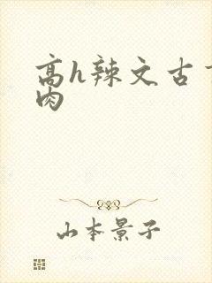 高h辣文古言纯肉