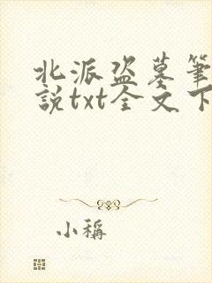 北派盗墓笔记小说txt全文下载