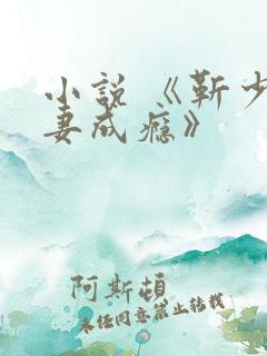 小说 《靳少宠妻成瘾》