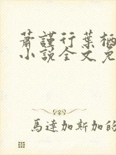 萧谨行叶栖迟的小说全文免费阅读