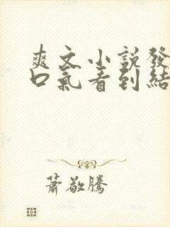 爽文小说发疯一口气看到结局