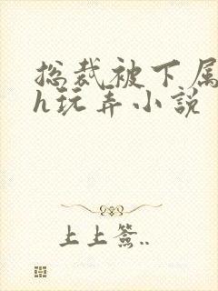 总裁被下属调教h玩弄小说