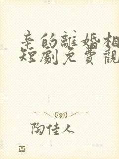 辛的离婚相遇时短剧免费观看全集