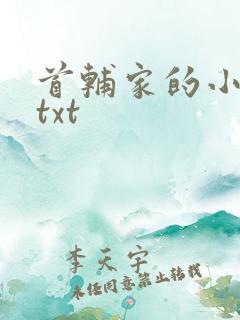 首辅家的小娇娘txt