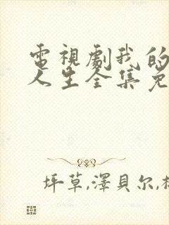 电视剧我的灿烂人生全集免费观看