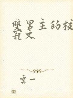 双男主的校园甜宠文