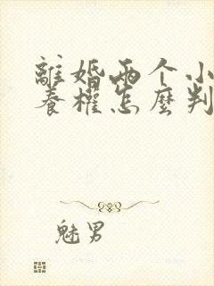 离婚两个小孩抚养权怎么判定