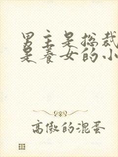 男主是总裁女主是养女的小说