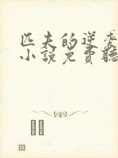 匹夫的逆袭有声小说免费听