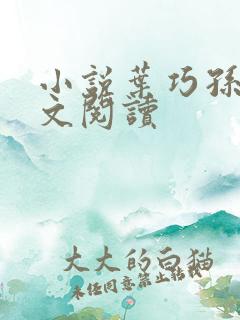 小说叶巧孙哲全文阅读