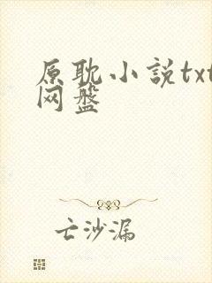 原耽小说txt网盘